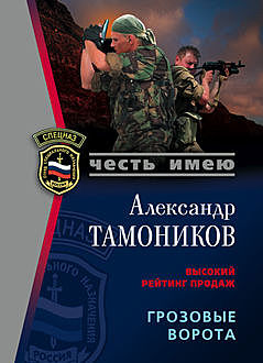 Грозовые ворота, Александр Тамоников