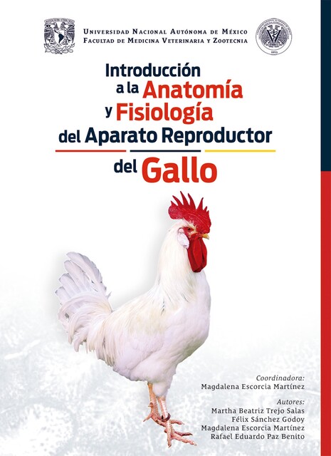 Introducción a la anatomía y fisiología del aparato reproductor del gallo, Magdalena Escorcia Martínez