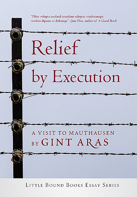 Relief by Execution, Gint Aras