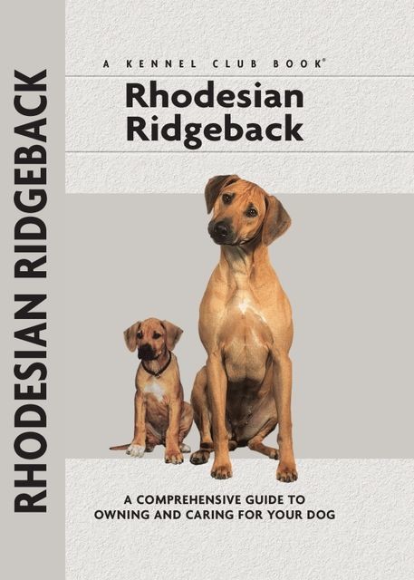 Rhodesian Ridgeback, Ann Chamberlain