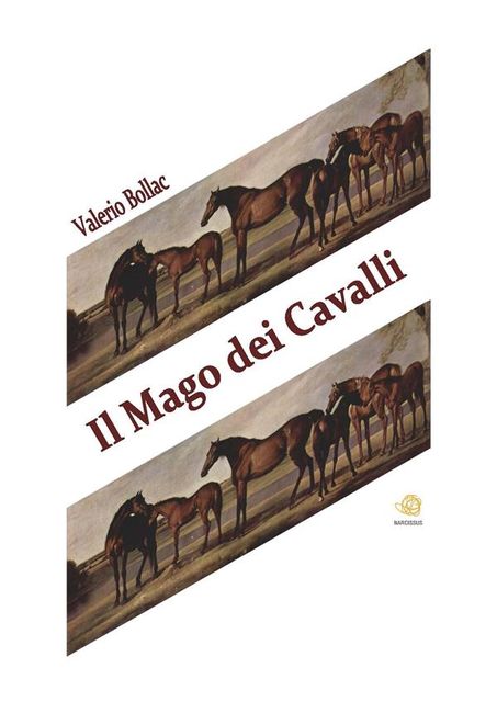 Il Mago dei Cavalli, Valerio Bollac