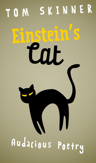 Einstein's Cat, Tom Skinner