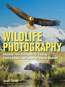 Wildlife Photography, Joseph Classen