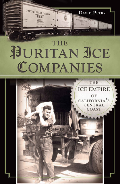 The Puritan Ice Companies, David Petry