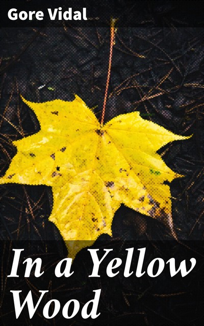 In a Yellow Wood, Gore Vidal