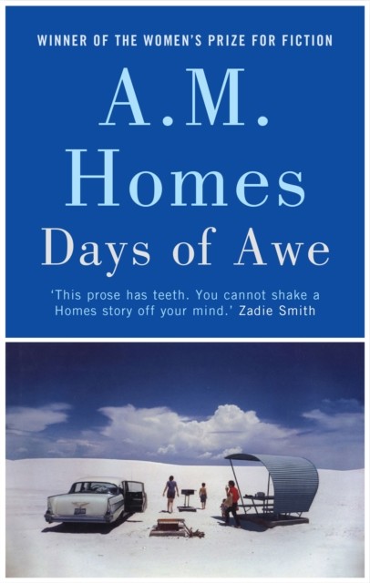 Days of Awe, A M. Homes