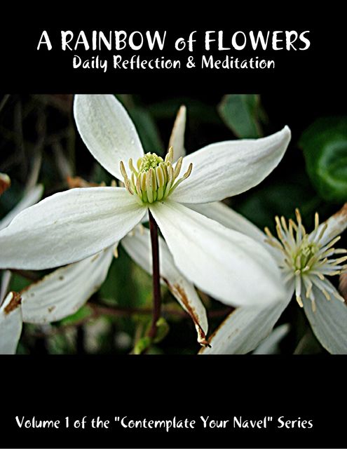 A Rainbow of Flowers: Daily Reflection & Meditation: Volume 1 of the “Contemplate Your Navel” Series, Catherine Van Humbeck