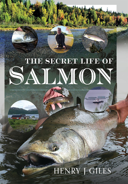 The Secret Life of Salmon, Henry Giles