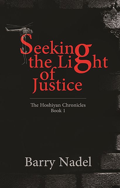 Seeking the Light of Justice, Barry Nadel