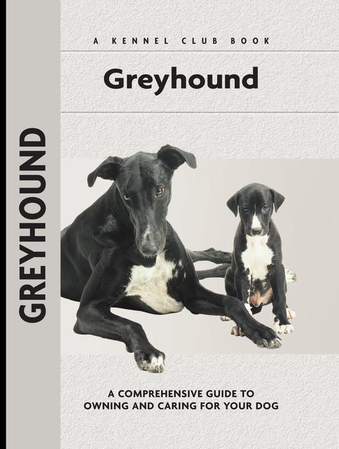 Greyhound, Juliette Cunliffe