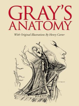 Gray's Anatomy, Henry Gray