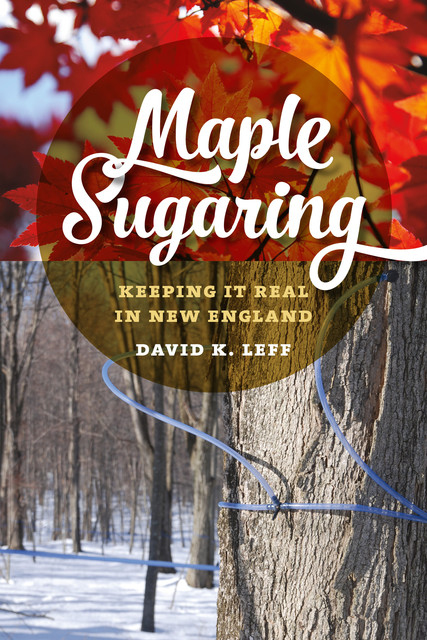 Maple Sugaring, David K.Leff
