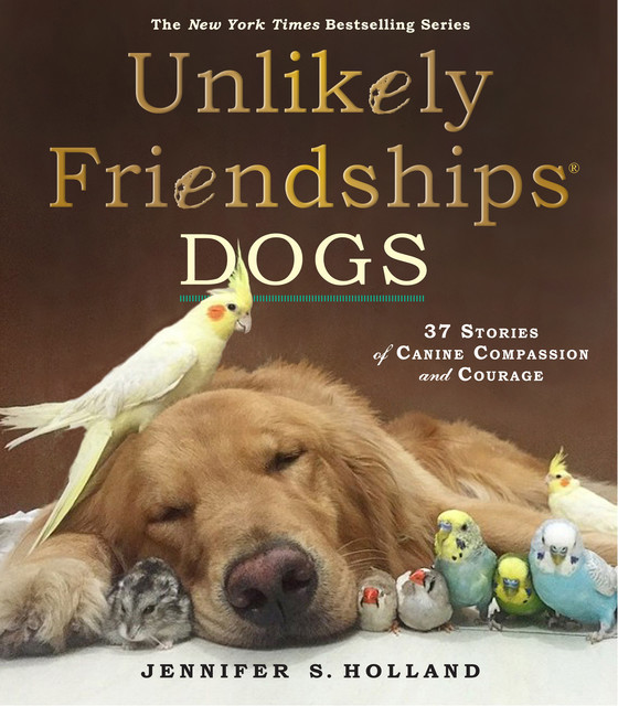 Unlikely Friendships: Dogs, Jennifer Holland