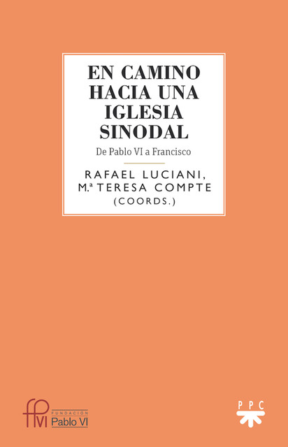 En camino hacia una iglesia sinodal, Varios Autores