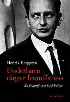 Underbara dagar framför oss, Henrik Berggren