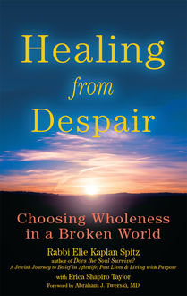 Healing from Despair, Rabbi Elie Kaplan Spitz