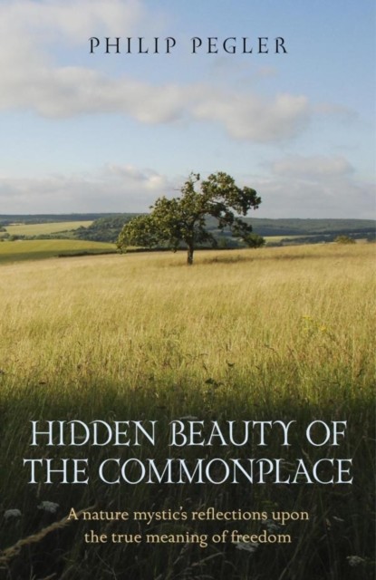 Hidden Beauty of the Commonplace, Philip Pegler
