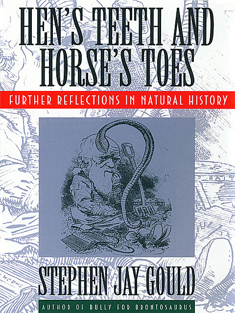 Hen's Teeth and Horse's Toes: Further Reflections in Natural History, Stephen Jay Gould