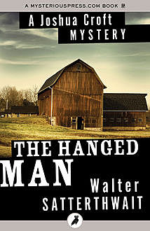 The Hanged Man, Walter Satterthwait