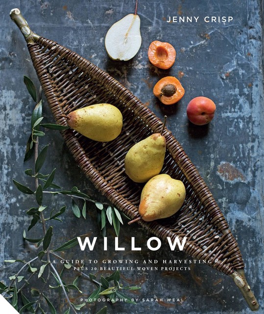 Willow, Jenny Crisp