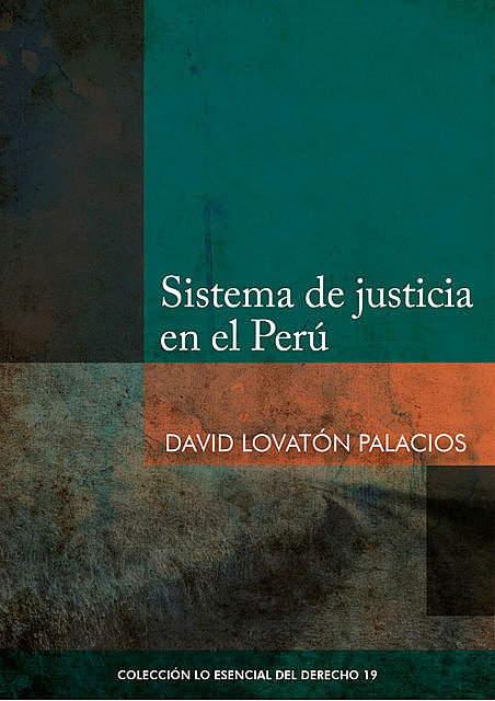 Sistema de justicia en el Perú, David Lovatón Palacios
