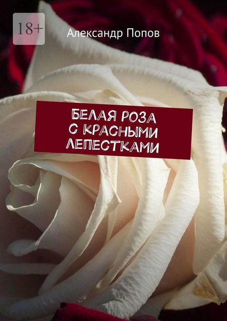 Белая роза с красными лепестками, Александр Попов