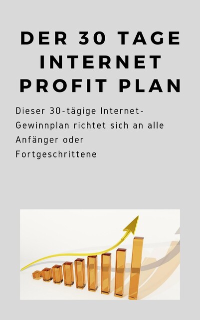 Der 30 Tage Internet Profit Plan, André Sternberg