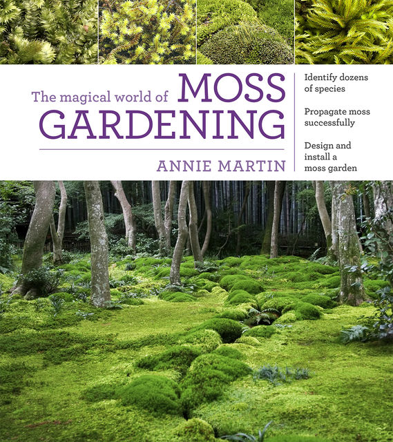 The Magical World of Moss Gardening, Annie Martin