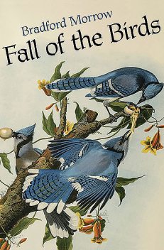 Fall of the Birds, Bradford Morrow