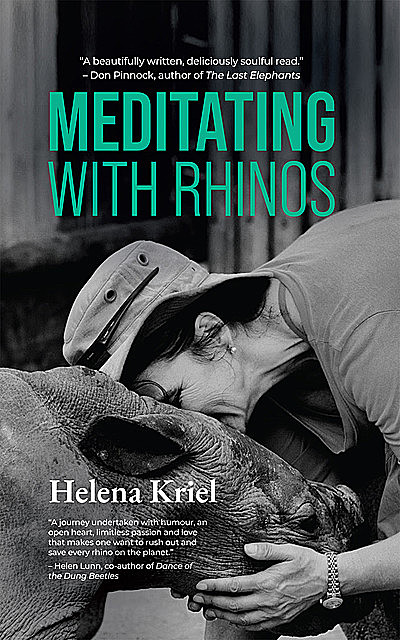 Meditating with Rhinos, Helena Kriel