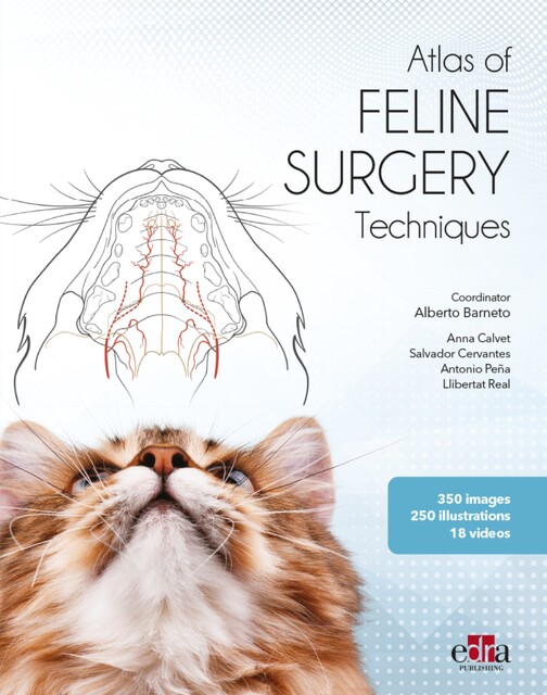 Atlas of FELINE SURGERY Techniques, amp, Alberto Barneto, Anna Calvet, Antonio Peña, Llibertat Real, Salvador Cervantes