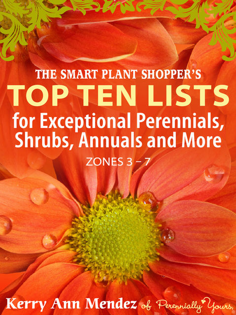 The Smart Shopper's Top Ten Lists, Kerry Ann Mendez
