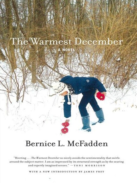 The Warmest December, Bernice L. McFadden