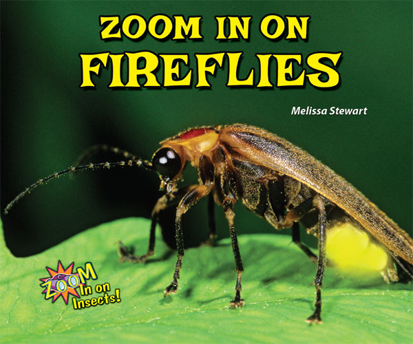 Zoom In on Fireflies, Melissa Stewart