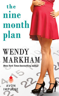The Nine Month Plan, Wendy Markham