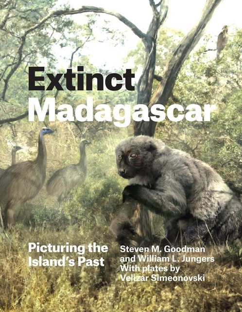 Extinct Madagascar, Velizar Simeonovski, Steven M. Goodman, William L. Jungers