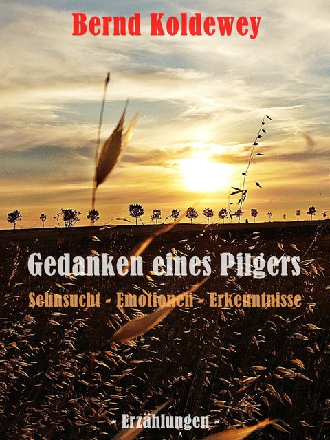 Gedanken eines Pilgers, Bernd Koldewey