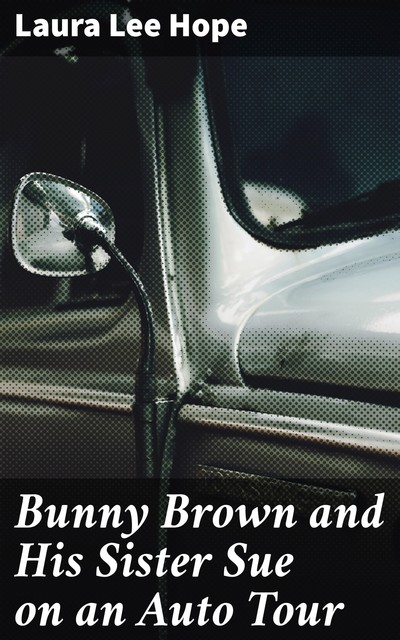 Bunny Brown and His Sister Sue on an Auto Tour, Laura Lee Hope