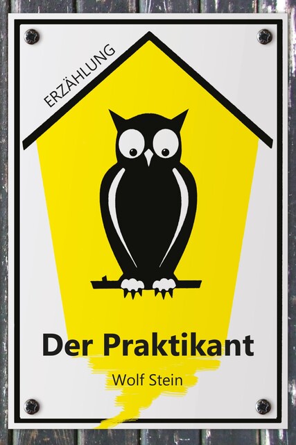 Der Praktikant, Wolf Stein