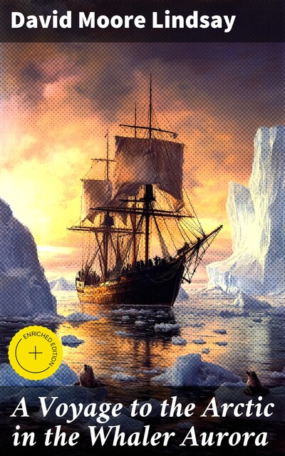 A Voyage to the Arctic in the Whaler Aurora, David Lindsay