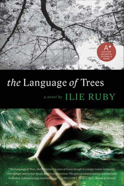 The Language of Trees, Ilie Ruby