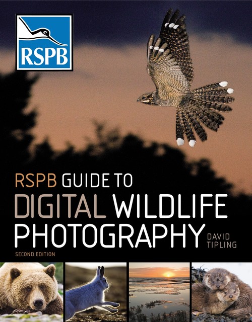 RSPB Guide to Digital Wildlife Photography, David Tipling