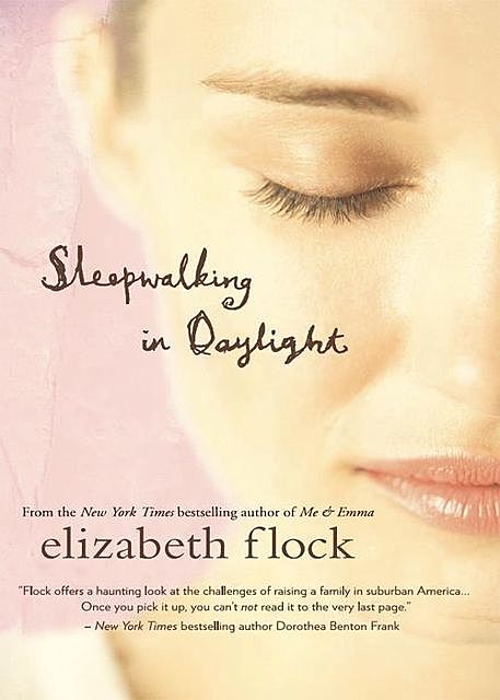 Sleepwalking in Daylight, Elizabeth Flock