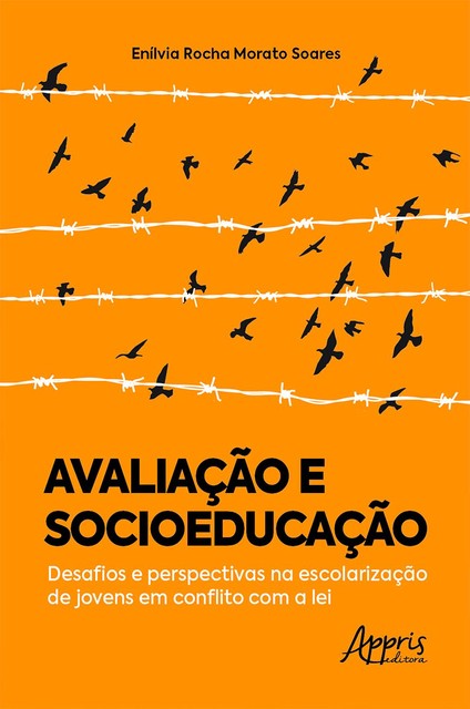 Avaliação e Socioeducação: Desafios e Perspectivas na Escolarização de Jovens em Conflito com a Lei, Enílvia Rocha Morato Soares