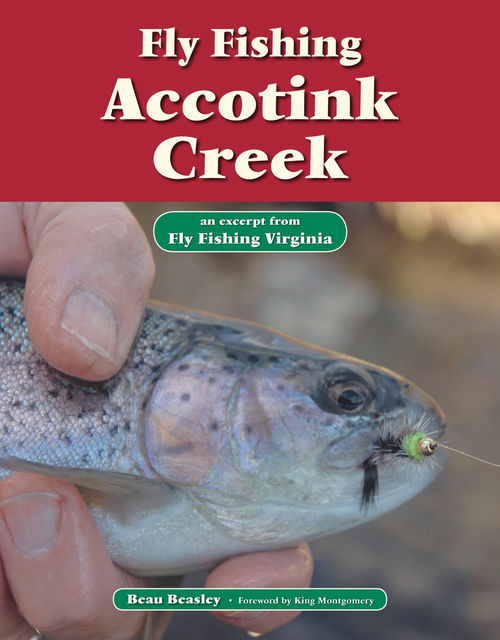 Fly Fishing Accotink Creek, Beau Beasley