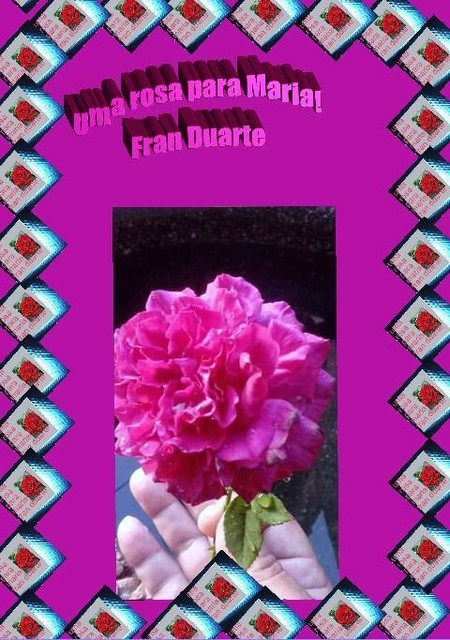 uma rosa para Maria, Fran Duarte