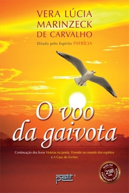 O voo da gaivota, Vera Lúcia Marinzeck de Carvalho