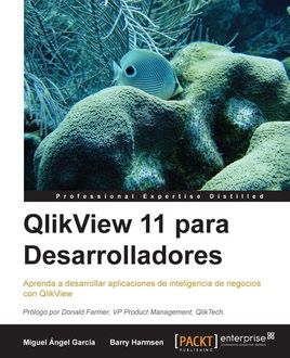 QlikView 11 para Desarrolladores, Barry Harmsen, Miguel Garcia