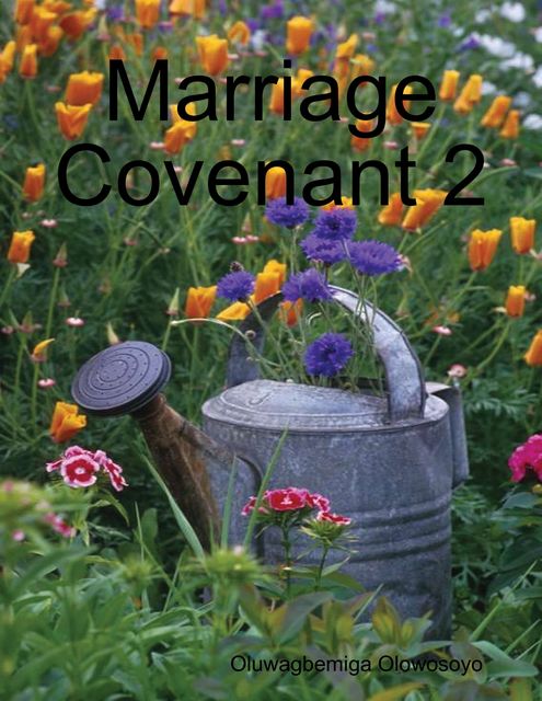 Marriage Covenant 2, Oluwagbemiga Olowosoyo