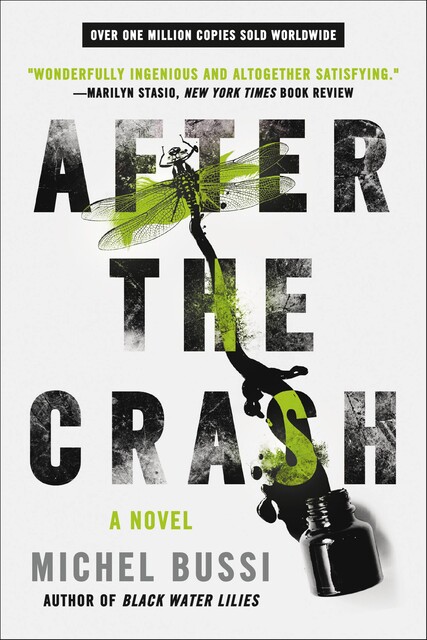 After the Crash, Michel Bussi